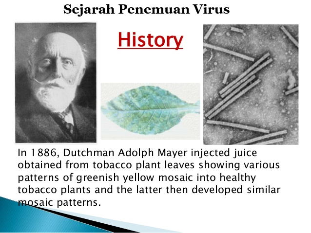 sejarah penemuan virus