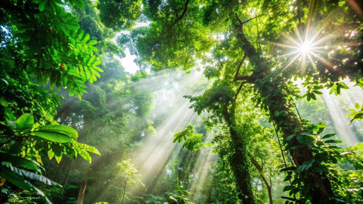 Evolusi Flora Tropis di Indonesia: Dari Hutan Hujan ke Kota