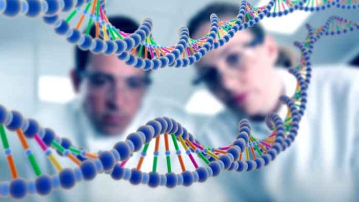 Genetika dan Warisan Sifat pada Manusia Nusantara