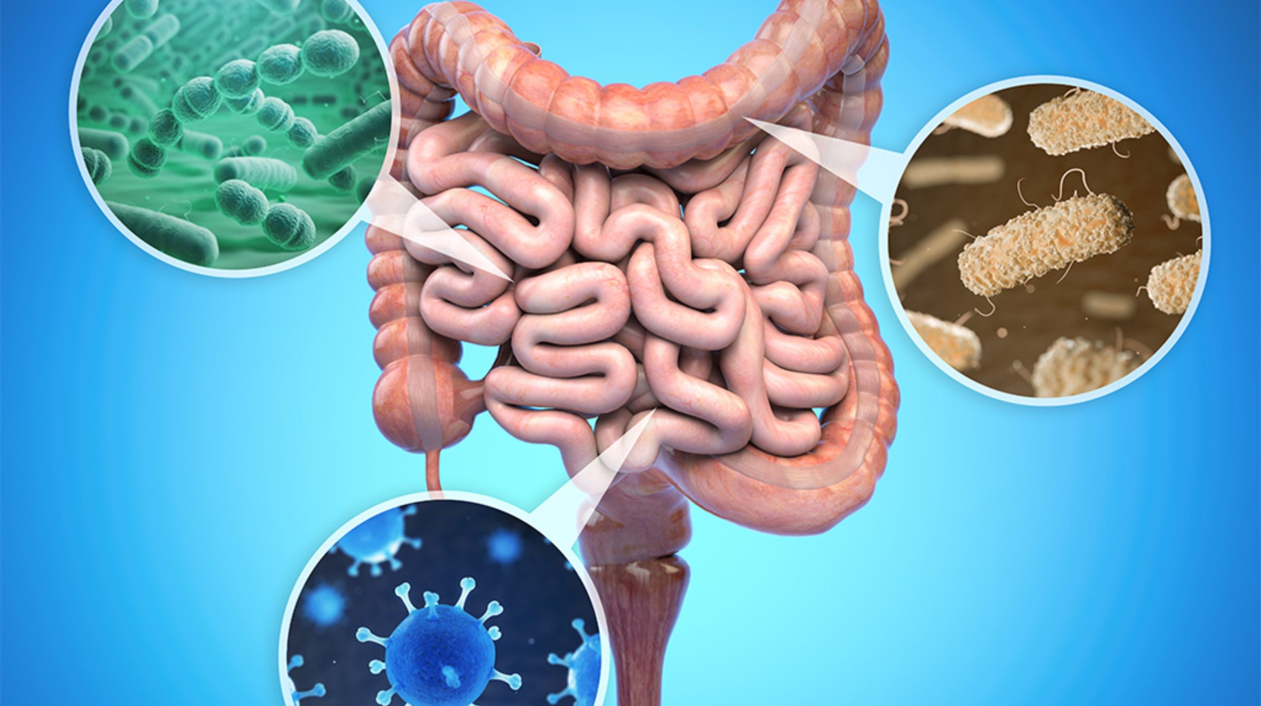 Peran Mikroba dalam Kesehatan Manusia dan Lingkungan