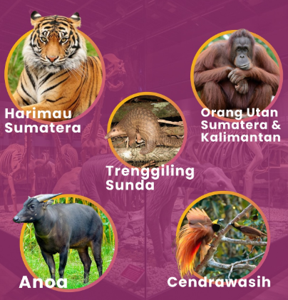 Satwa Endemik Nusantara yang Terancam Punah: Keunikan dan Upaya Pelestariannya